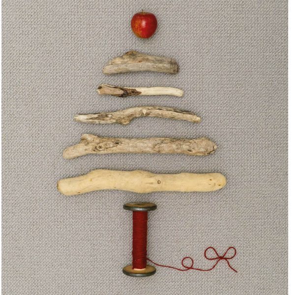 Christmas Card Photography